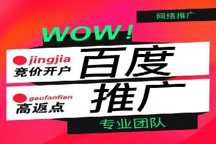 案例解析：如何通过百度推广实现低成本高回报